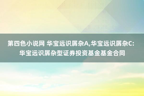 第四色小说网 华宝远识羼杂A，华宝远识羼杂C: 华宝远识羼杂型证券投资基金基金合同