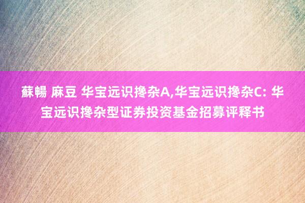 蘇暢 麻豆 华宝远识搀杂A，华宝远识搀杂C: 华宝远识搀杂型证券投资基金招募评释书