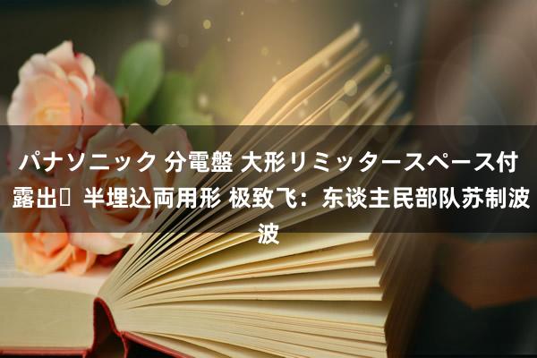 パナソニック 分電盤 大形リミッタースペース付 露出・半埋込両用形 极致飞：东谈主民部队苏制波