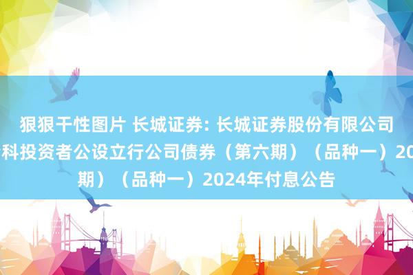 狠狠干性图片 长城证券: 长城证券股份有限公司2023年面向专科投资者公设立行公司债券（第六期）（品种一）2024年付息公告