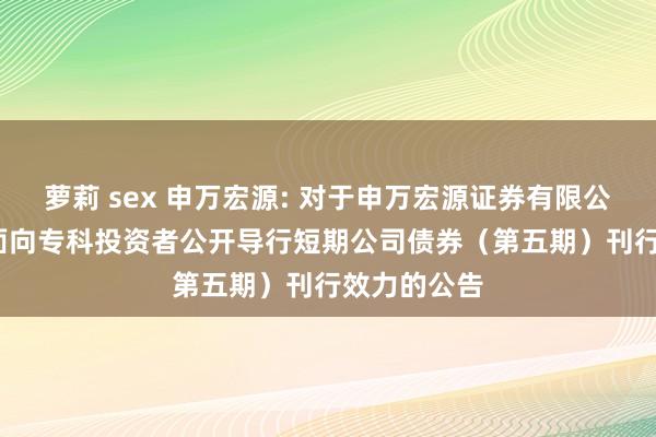 萝莉 sex 申万宏源: 对于申万宏源证券有限公司2024年面向专科投资者公开导行短期公司债券（第五期）刊行效力的公告