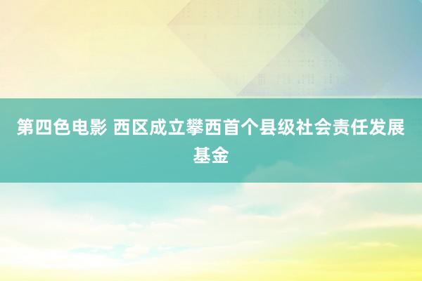 第四色电影 西区成立攀西首个县级社会责任发展基金