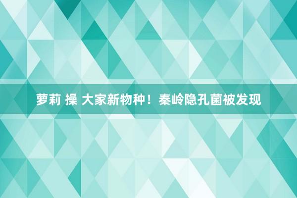 萝莉 操 大家新物种！秦岭隐孔菌被发现