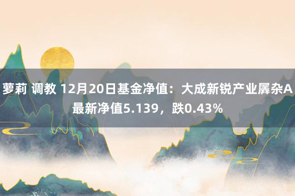 萝莉 调教 12月20日基金净值：大成新锐产业羼杂A最新净值5.139，跌0.43%