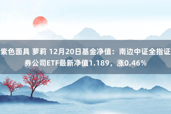 紫色面具 萝莉 12月20日基金净值：南边中证全指证券公司ETF最新净值1.189，涨0.46%