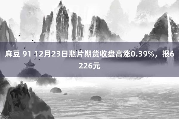 麻豆 91 12月23日瓶片期货收盘高涨0.39%，报6226元