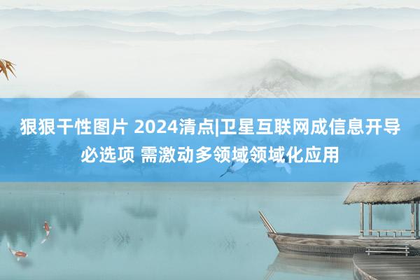 狠狠干性图片 2024清点|卫星互联网成信息开导必选项 需激动多领域领域化应用