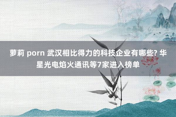 萝莉 porn 武汉相比得力的科技企业有哪些? 华星光电焰火通讯等7家进入榜单