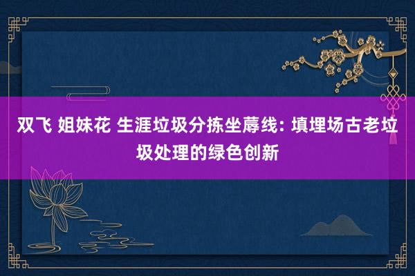 双飞 姐妹花 生涯垃圾分拣坐蓐线: 填埋场古老垃圾处理的绿色创新