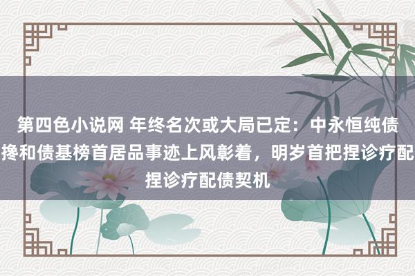 第四色小说网 年终名次或大局已定：中永恒纯债基金和搀和债基榜首居品事迹上风彰着，明岁首把捏诊疗配债契机