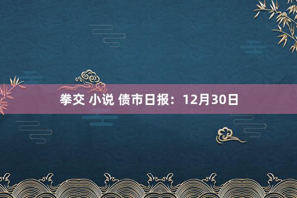 拳交 小说 债市日报：12月30日