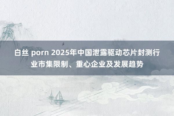 白丝 porn 2025年中国泄露驱动芯片封测行业市集限制、重心企业及发展趋势