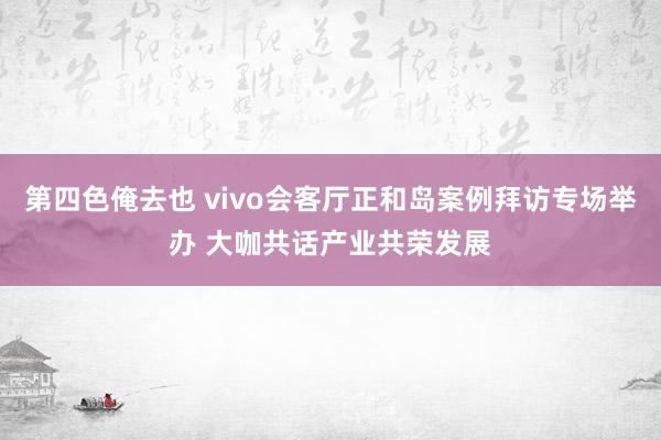 第四色俺去也 vivo会客厅正和岛案例拜访专场举办 大咖共话产业共荣发展