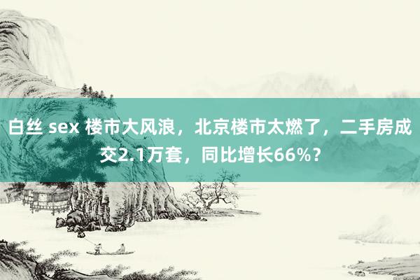 白丝 sex 楼市大风浪，北京楼市太燃了，二手房成交2.1万套，同比增长66%？