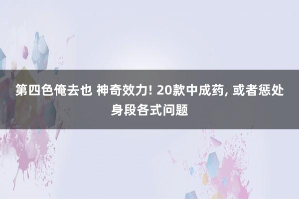 第四色俺去也 神奇效力! 20款中成药， 或者惩处身段各式问题