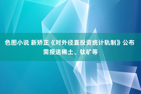 色图小说 新矫正《对外径直投资统计轨制》公布 需报送稀土、钛矿等