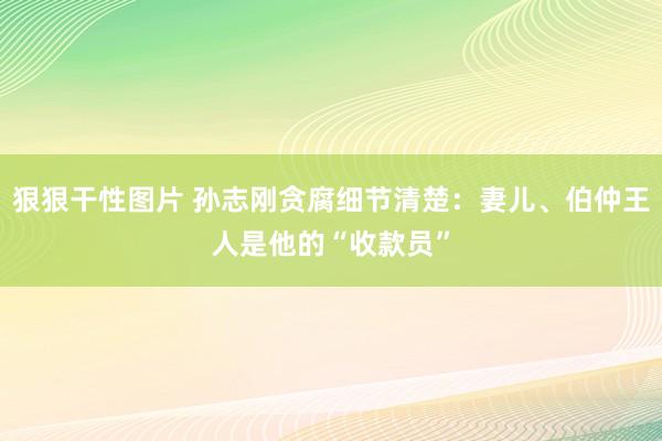 狠狠干性图片 孙志刚贪腐细节清楚：妻儿、伯仲王人是他的“收款员”