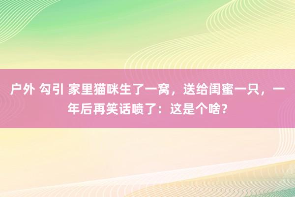 户外 勾引 家里猫咪生了一窝，送给闺蜜一只，一年后再笑话喷了：这是个啥？