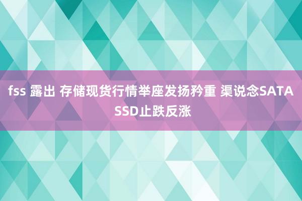 fss 露出 存储现货行情举座发扬矜重 渠说念SATA SSD止跌反涨