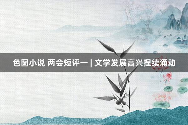 色图小说 两会短评一 | 文学发展高兴捏续涌动