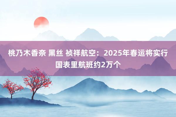 桃乃木香奈 黑丝 祯祥航空：2025年春运将实行国表里航班约2万个