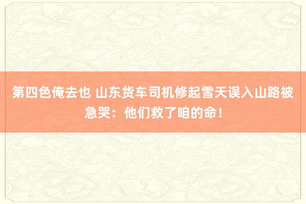 第四色俺去也 山东货车司机修起雪天误入山路被急哭：他们救了咱的命！