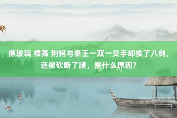 擦玻璃 裸舞 荆轲与秦王一双一交手却挨了八剑，还被砍断了腿，是什么原因？