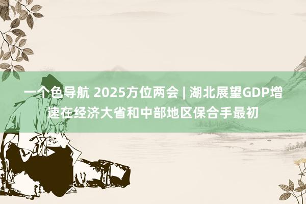 一个色导航 2025方位两会 | 湖北展望GDP增速在经济大省和中部地区保合手最初